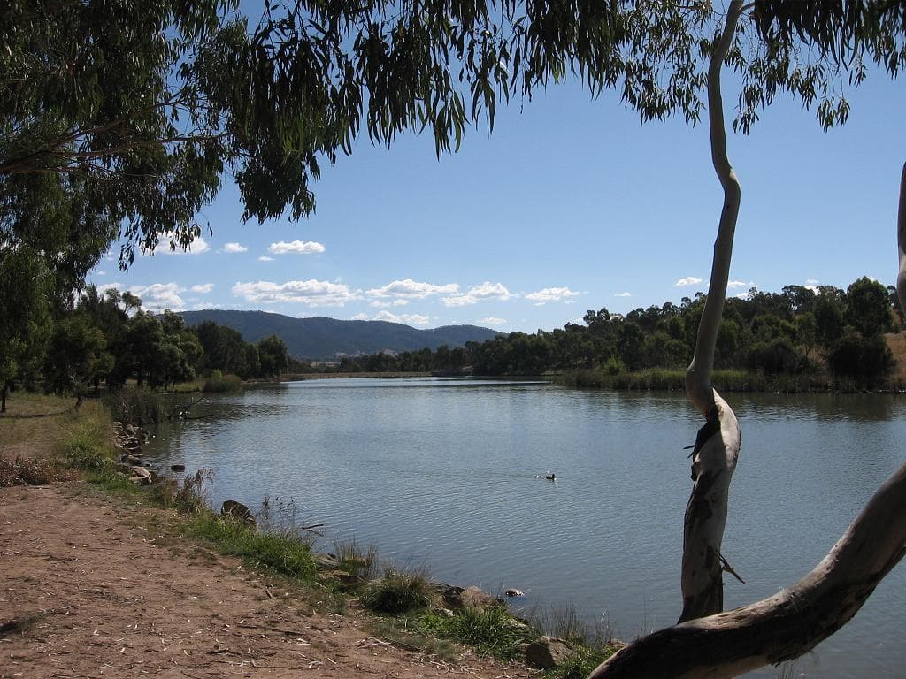 Stranger Pond: A Peaceful Lake Escape in Canberra’s South