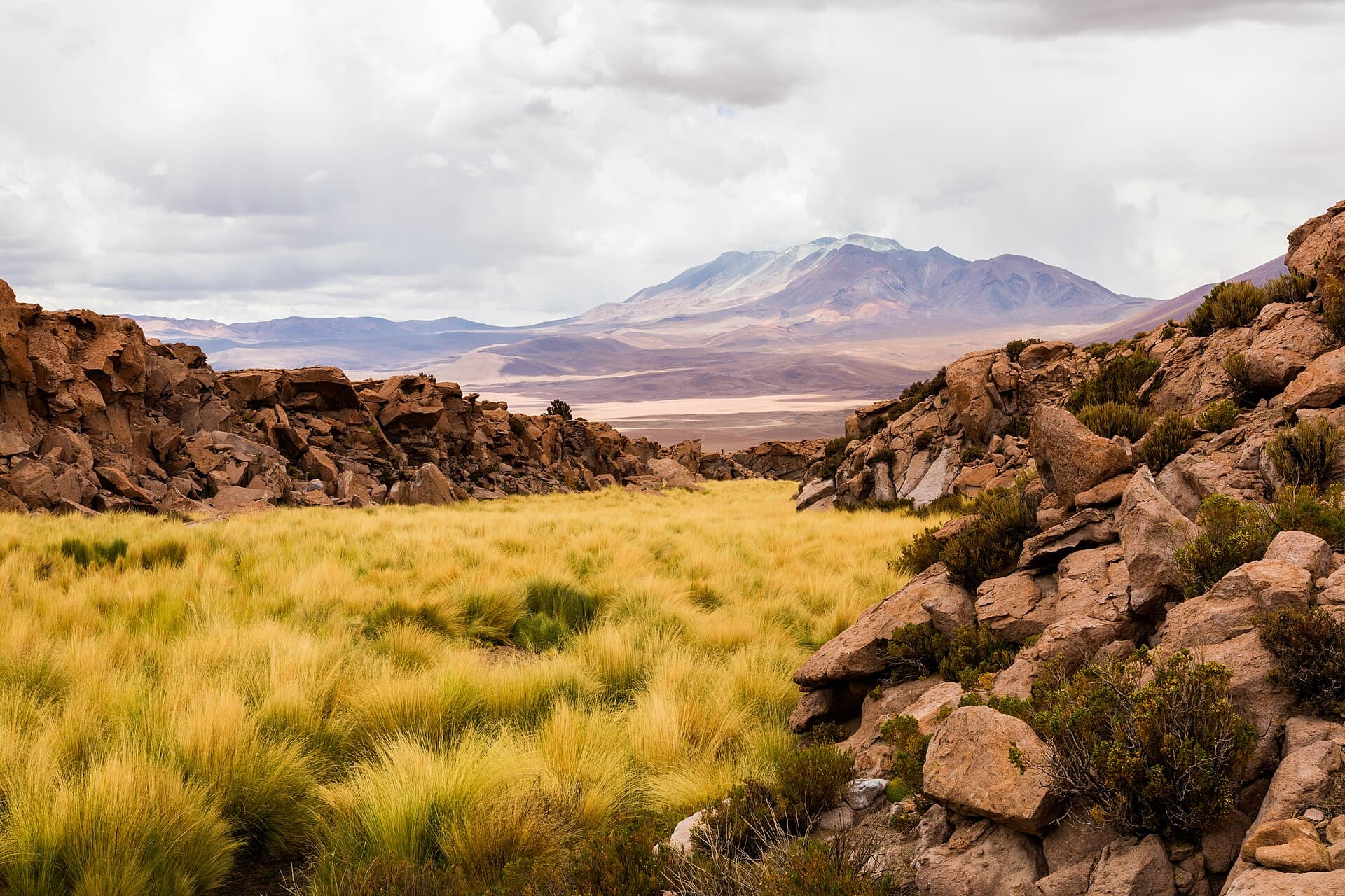 Olca Volcano: Hiking Bolivia’s Remote Andean Stratovolcano