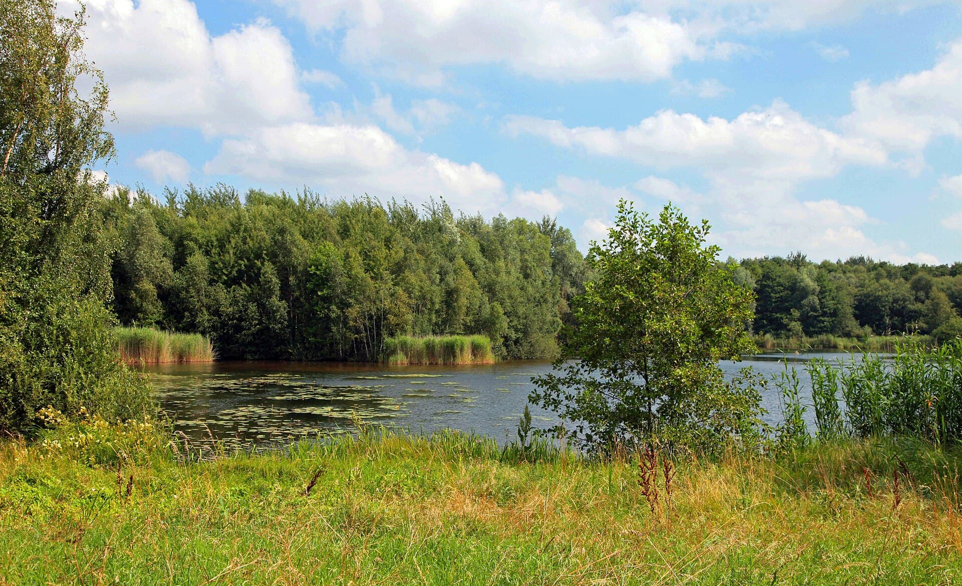 Grambker Feldmarksee: A Peaceful Lake Retreat in Bremen’s Burglesum