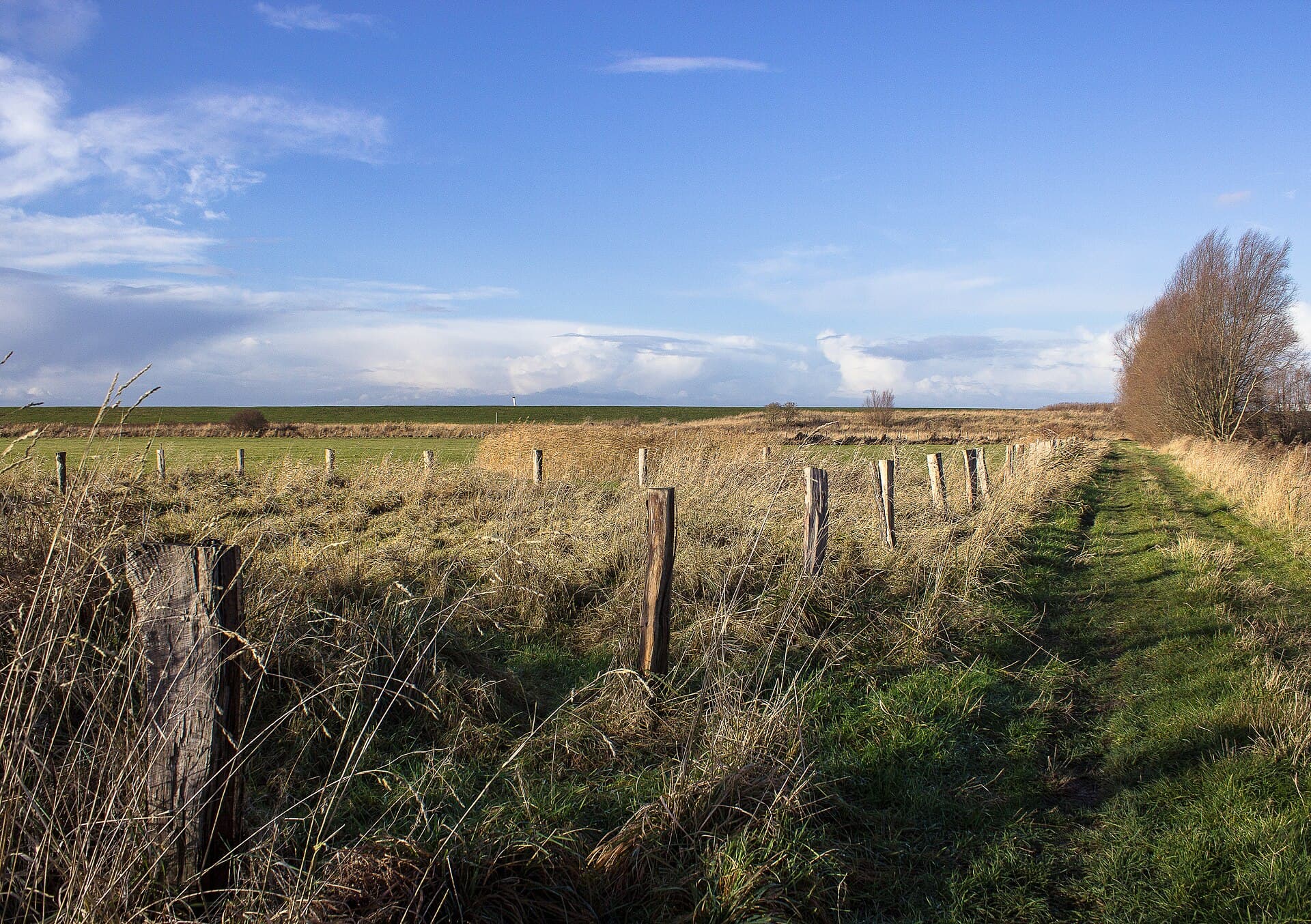 Luneplate: Exploring the Protected Wetlands Near Bremerhaven