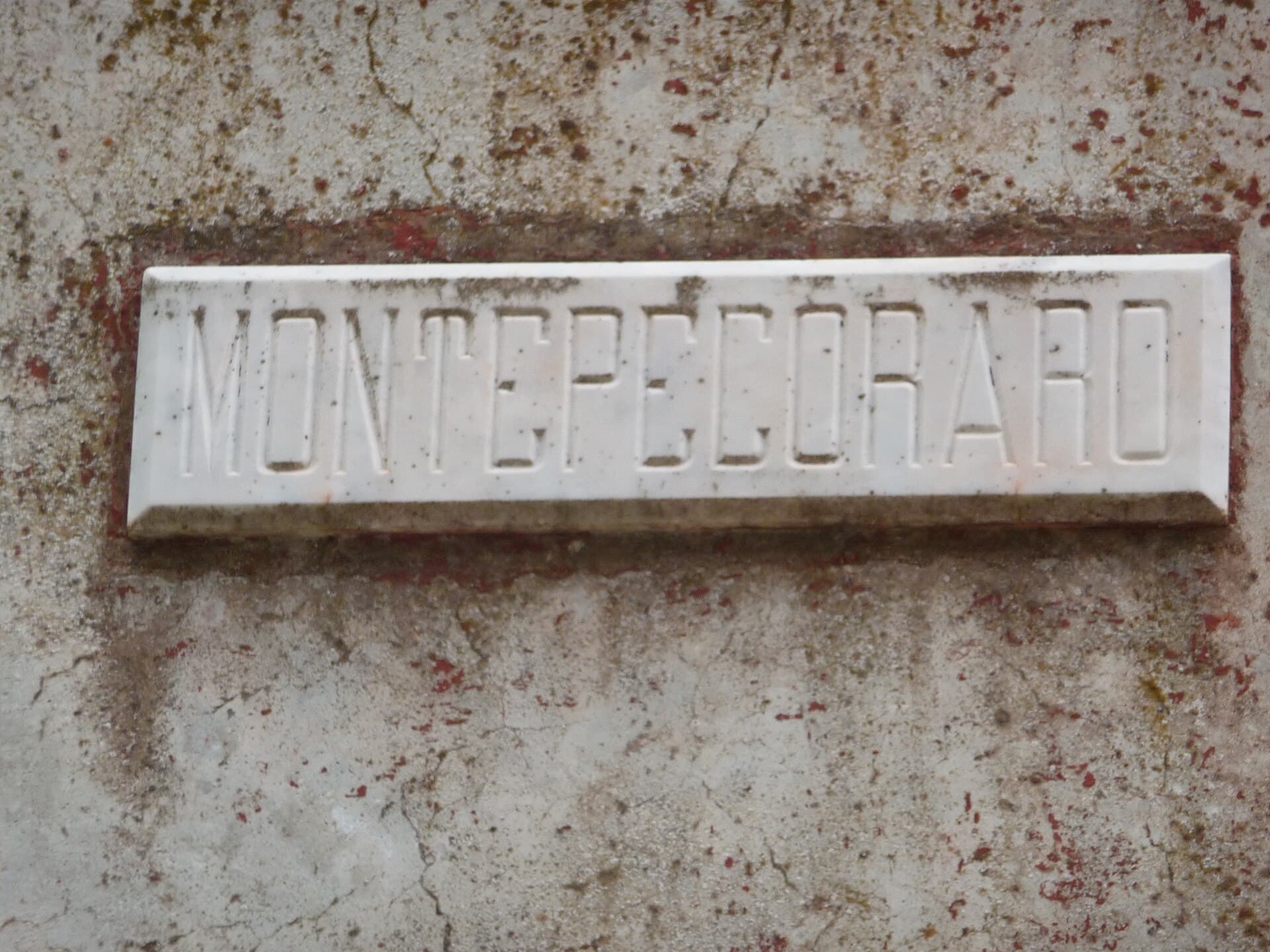 Monte Pecoraro: Hiking the Beech-Clad Peaks of Calabria’s Serre Mountains