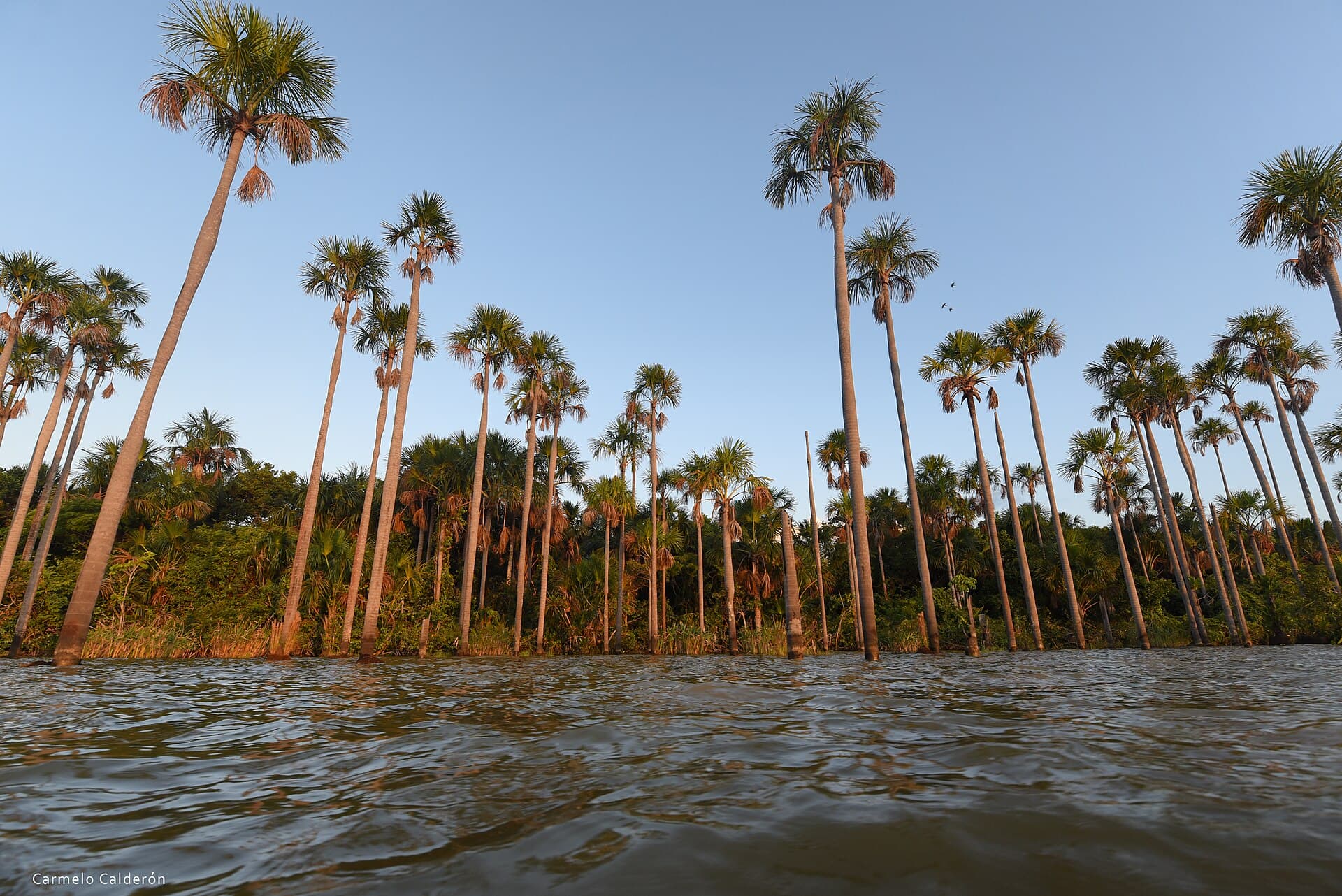 Rogaguado Lake: Bolivia’s Remote Amazonian Wilderness