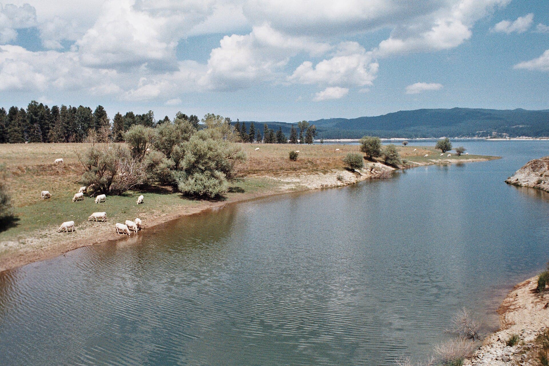 Sila National Park: Ancient Forests and Mountain Lakes in Calabria