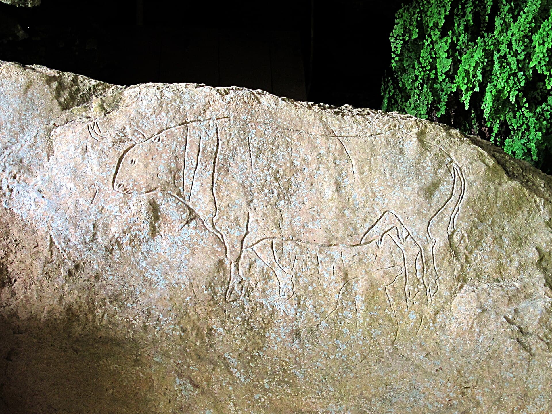 Romito Cave: Prehistoric Rock Art in Papasidero, Calabria