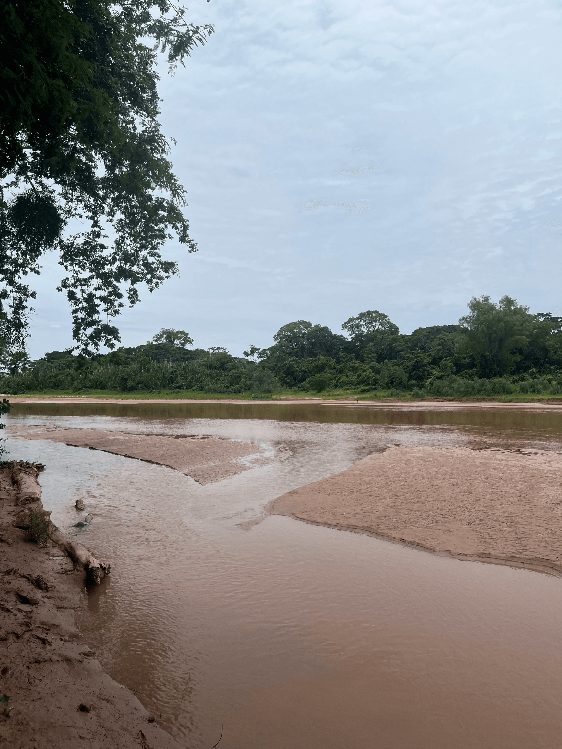 Surutú River: Bolivia’s Clear-Water Gem in Santa Cruz Department