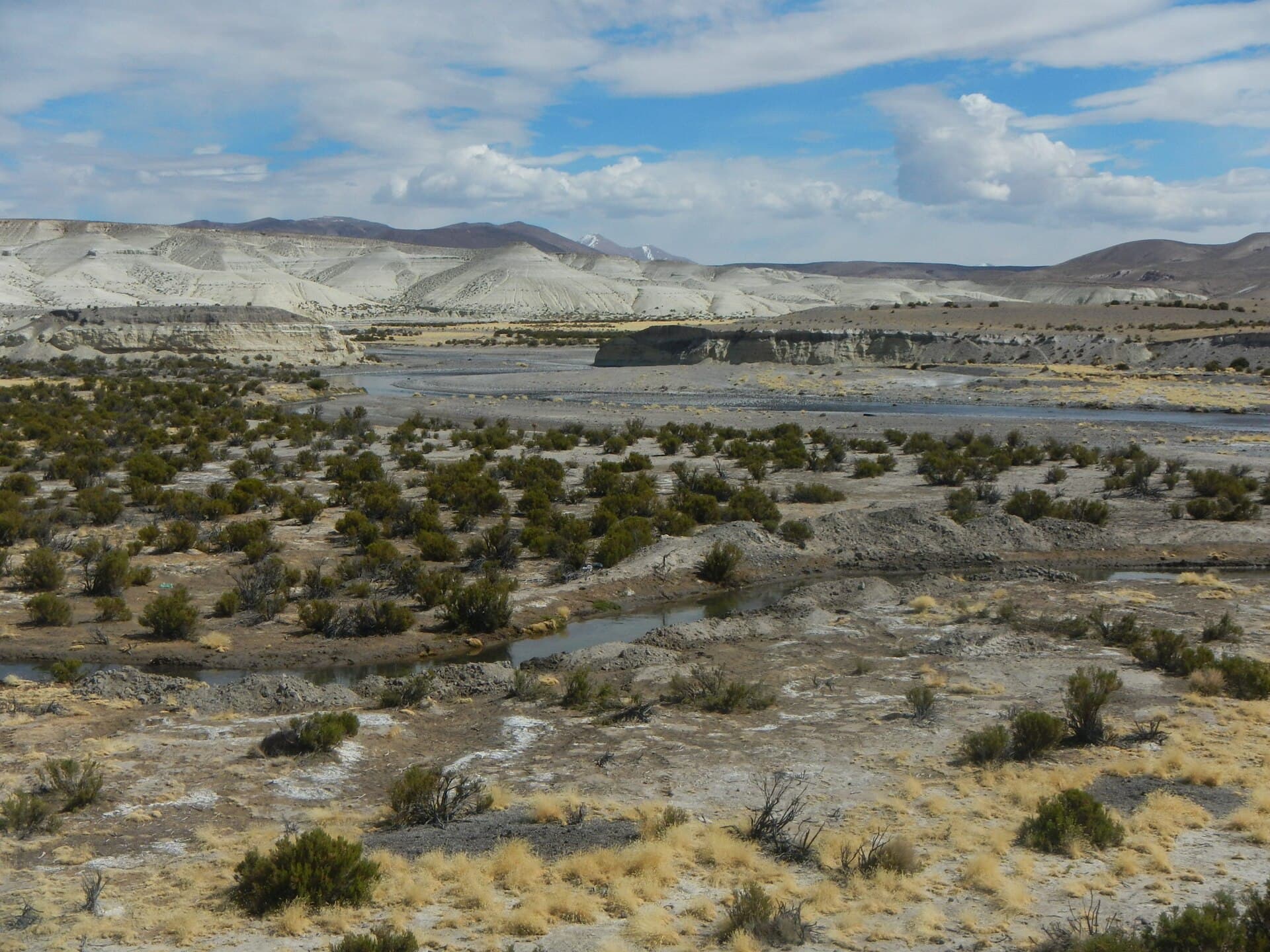 Lauca River: Bolivia’s Remote High-Andes Waterway in Oruro