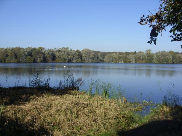 Dunger See: A Serene Lake Retreat in Bremen’s Burglesum
