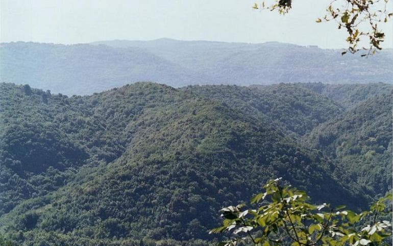Natural Regional Park of Serre: Hiking Calabria’s Wild Mountain Heart