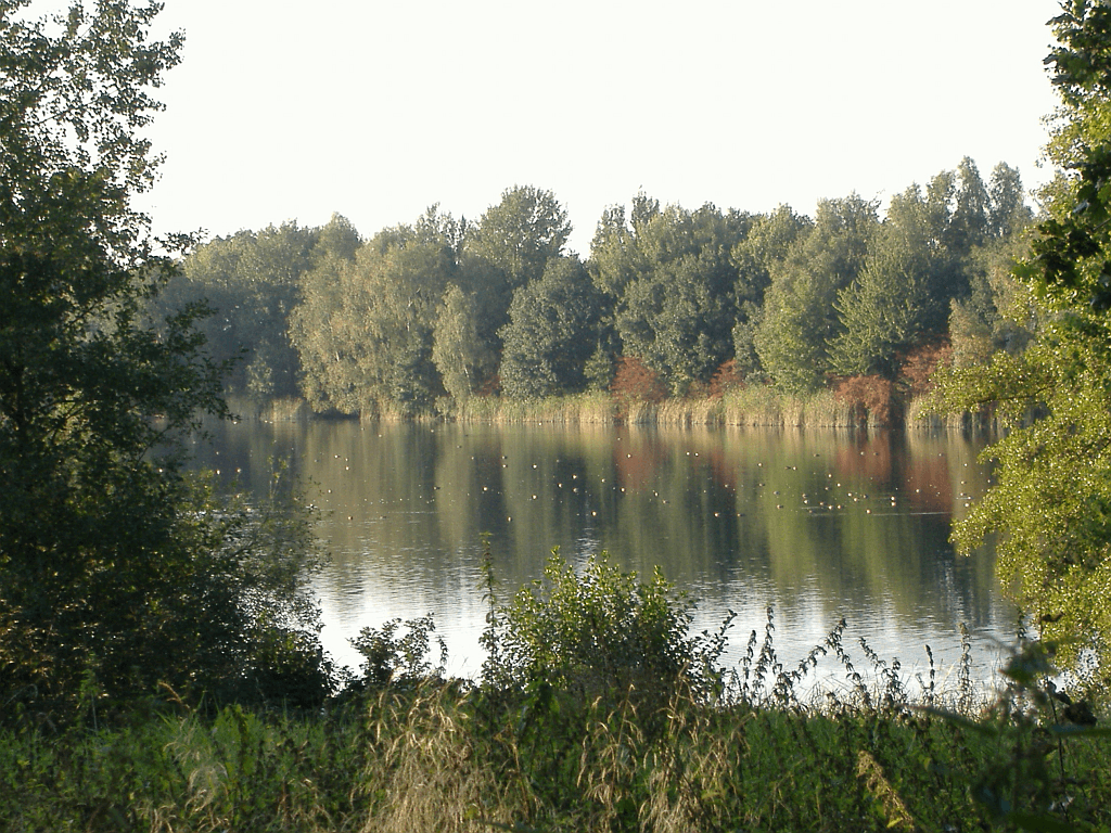 Kuhgrabensee: A Quiet Wetland Sanctuary in Bremen-West