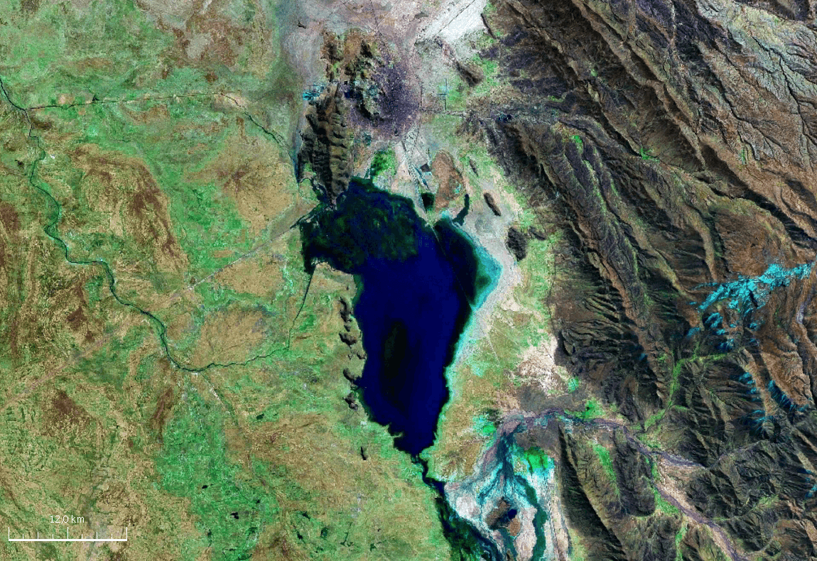 Uru Uru Lake: Birdwatching and Highland Scenery Near Oruro, Bolivia