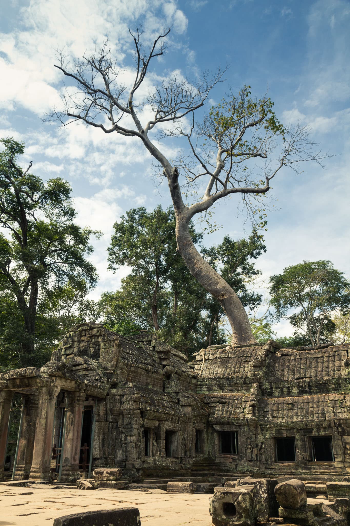 Ta Prohm: The Jungle-Entwined Temple of Angkor